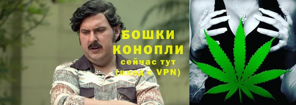 мдпв Верхний Тагил
