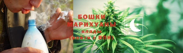прущие грибы Верхнеуральск