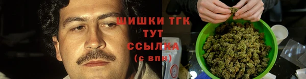 прущие грибы Верхнеуральск
