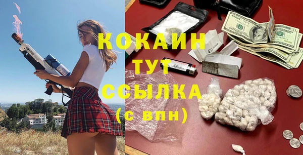 мдпв Верхний Тагил