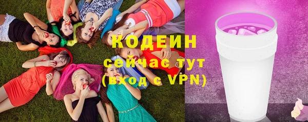 мдпв Верхний Тагил