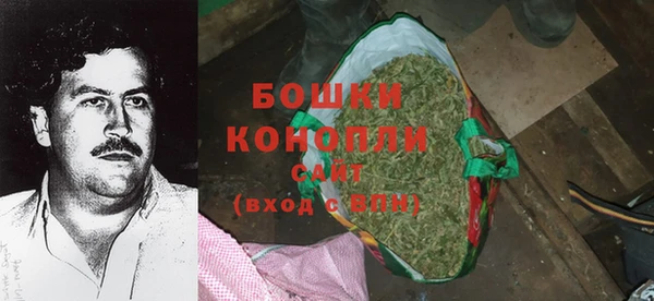прущие грибы Верхнеуральск