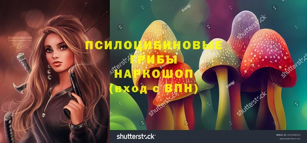 прущие грибы Верхнеуральск