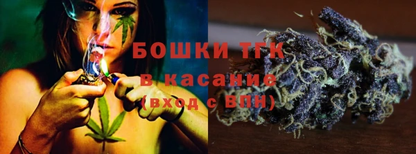 мдпв Верхний Тагил