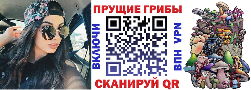 Купить закладки  Вязьма  Галлюциногенные грибы Magic Shrooms 