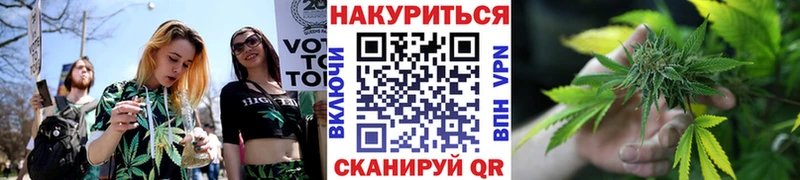 Купить закладки  Вязьма  Бошки марихуана семена 